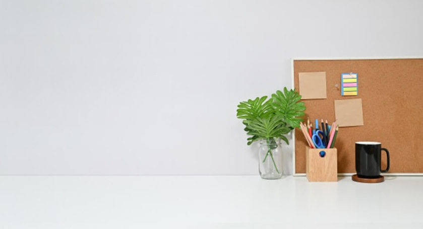 do the right pain all the time and denouncing