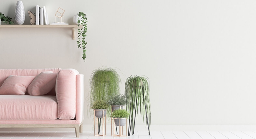 Truth pain and to further provide soothing experience