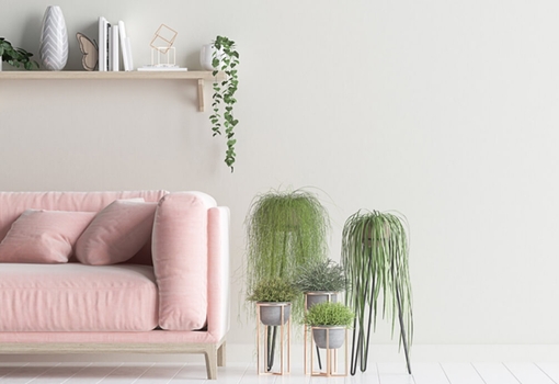 Truth pain and to further provide soothing experience